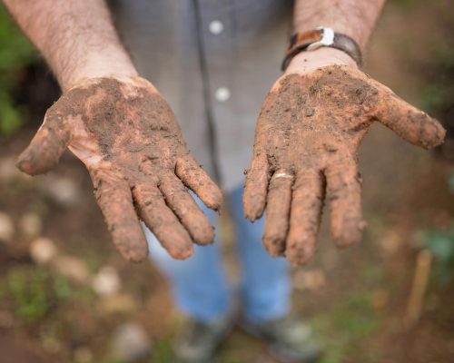 pexels-kampus-7658766