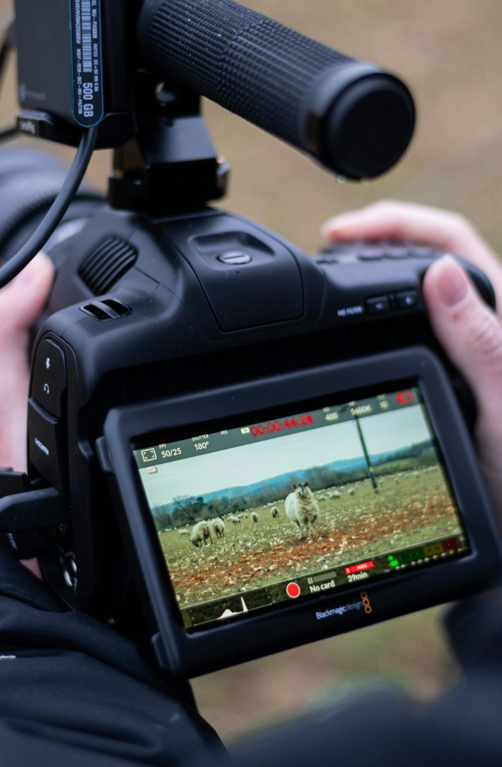 pexels-harry-shelton-39376662-7239945