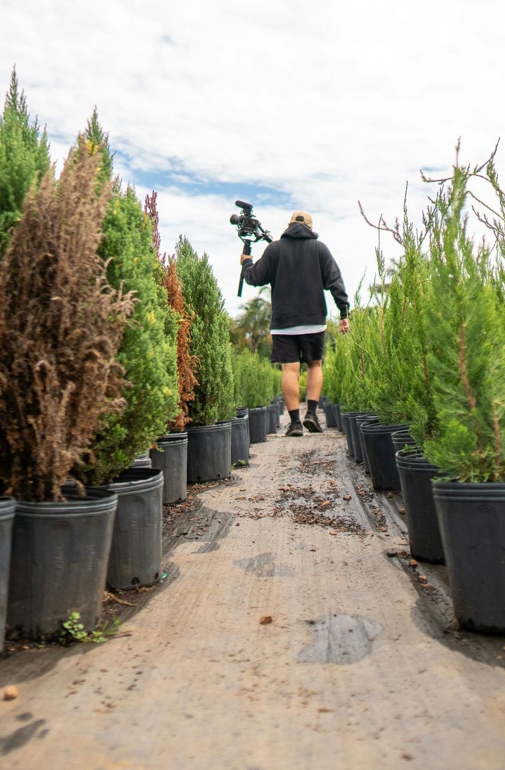 pexels-maumascaro-3963211