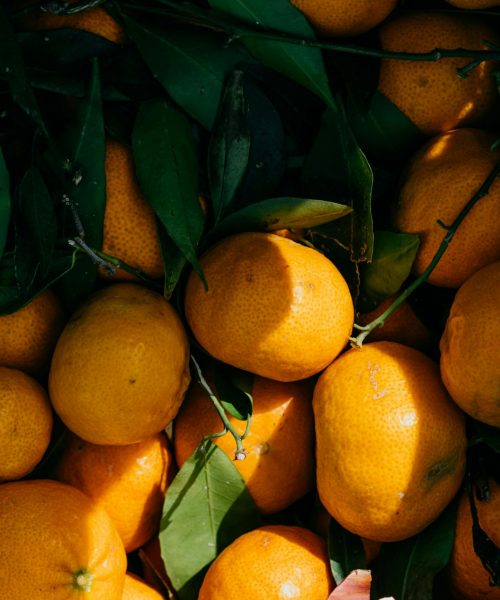 pexels-polina-kovaleva-7511803